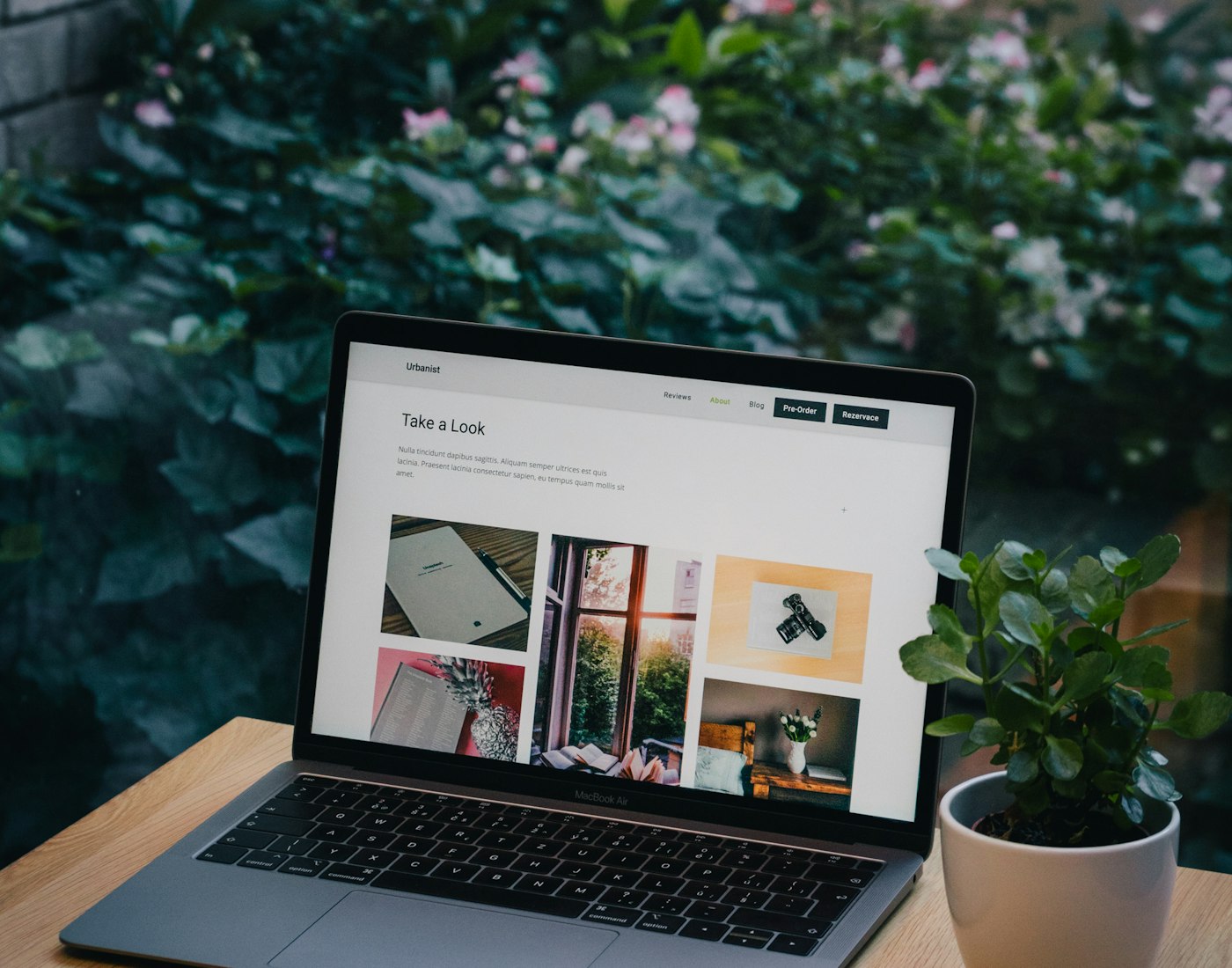 A website open on a laptop in a bright independent studio